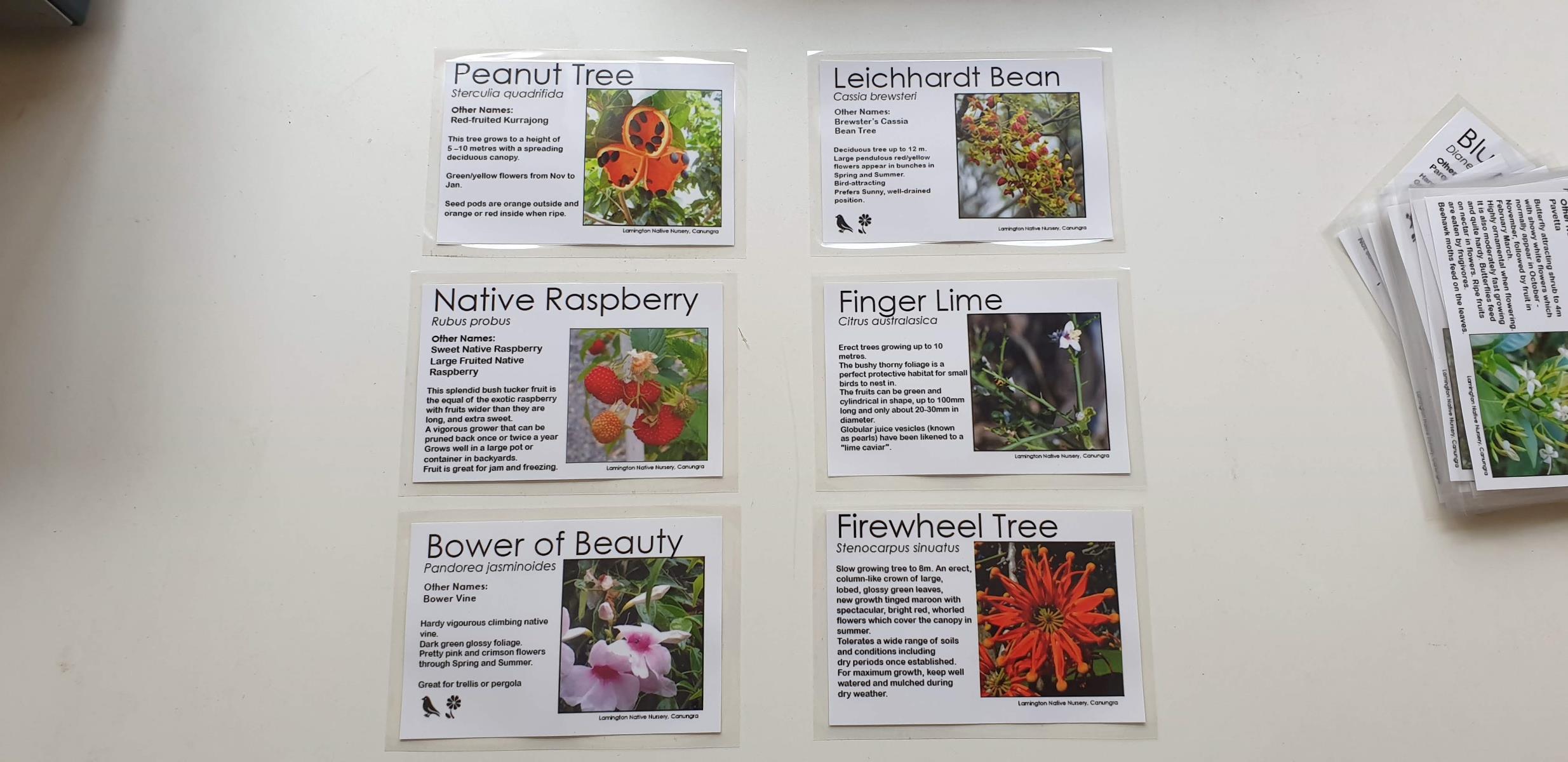 Colour Plant Labels