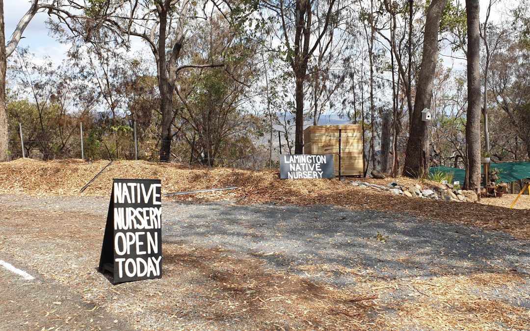 OPEN FOR BUSINESS: support the Scenic Rim after bushfires